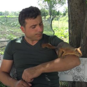 Tokat'ta sincap ile öğretmen dostunun renkli görüntüleri