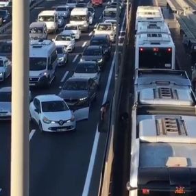 Merter'de trafiği durdurup kediyi kurtaran sürücü