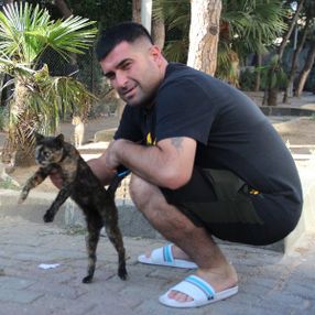 İzmir'de motosikletli, kediyi ezmemek için kaza yaptı