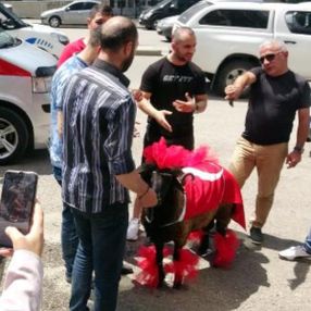 Erzurum'da evlenenlerin gelin koçu çiçekçide süsleniyor