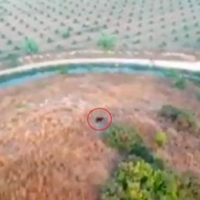 Antalya'da kaybolan keçi, drone ile bulundu
