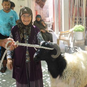 Hataylı Rahme Teyze, hediye gelen kurbanı kestirdi