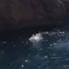 İspanya’da kayalıklardan denize atladı, hastanelik oldu