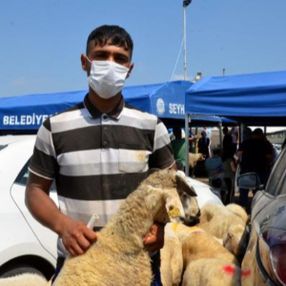 Adana'da besici, piyasa düşünce kurbanlıkları satamadı