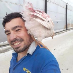 'Trafik cezalarına af' paylaşımından sonra kazada öldü