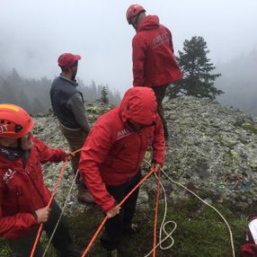 Artvin'de uçurumda mahsur kalan keçiyi AKUT kurtardı
