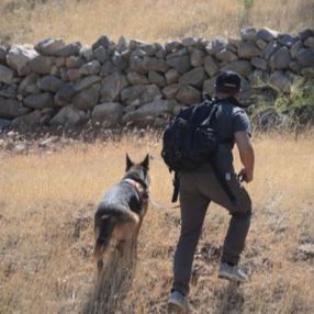Miraç Çiçek, 5'inci günde iz takip köpekleriyle aranıyor