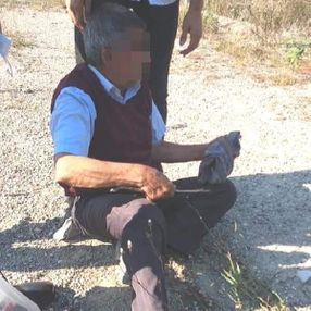 Kocaeli'de köpeğe tecavüz ederken yakalandı