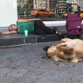 Taksim’de köpeğin vefası: Yalnız bırakmıyor