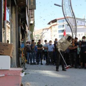 Hakkari'de tabelaya arı yuva yaptı: Esnaf kepenk kapattı