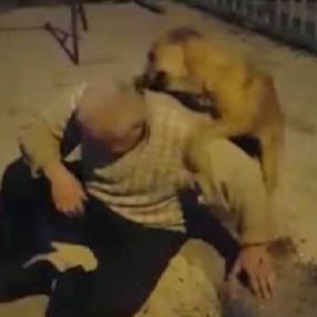 Zonguldak'ta kayıp köpeğiyle 3 ay sonra kavuştu