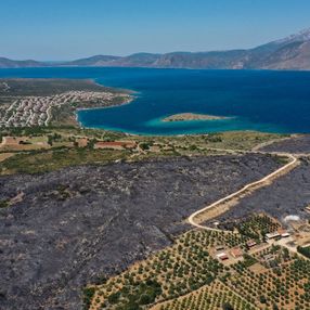 Çeşme'deki yangın havadan görüntülendi