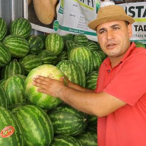 En iyi karpuz nasıl seçilir