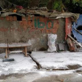 Trabzon'da kesilen büyükbaş şarbonlu çıktı, mahalle karantinaya alındı