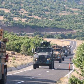 Bingöl'de Yıldırım-6 Karacehennem Operasyonu başlatıldı