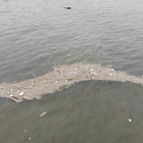 Üsküdar'da deniz yüzeyi çöplerle kaplandı