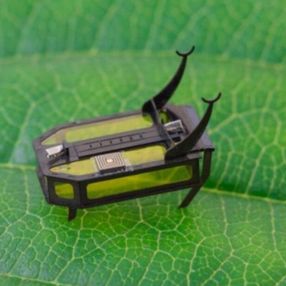 Alkolle çalışan mikro robot: RoBeetle