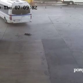 İzmir'de minibüsün ezdiği yavru köpek can verdi