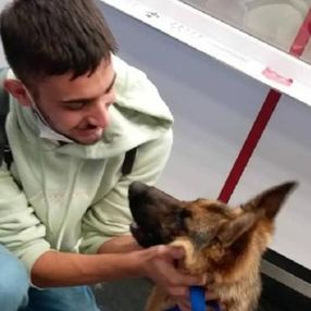 Sopayla dövülen Pongo'yu İtalyan aile sahiplendi