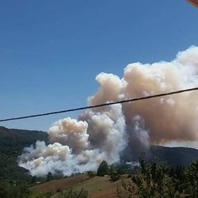 Adana'da orman yangını