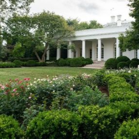 Melania Trump, Beyaz Saray Gül Bahçesi'nin restorasyonunu paylaştı
