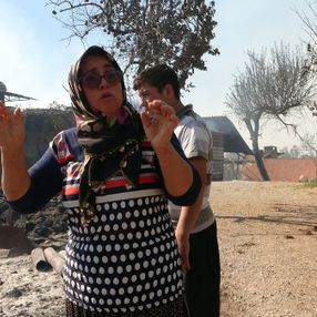 Adana'da Hatice Teyze, yangında can veren hayvanları için ağladı