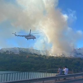 Maltepe'de orman yangını