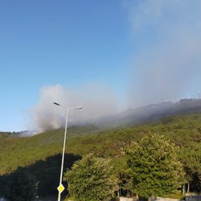 İstanbul'da orman yangını