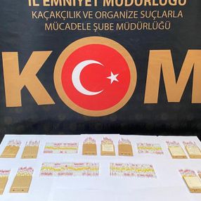 Edirne'de 230 tüp kobra yılanı zehri ele geçirildi