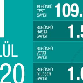 Türkiye'de koronavirüs salgınında günün tablosu