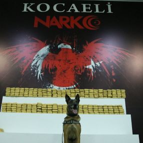 Kocaeli'de durdurulan tırda 132 kilo 800 gram eroin ele geçirildi