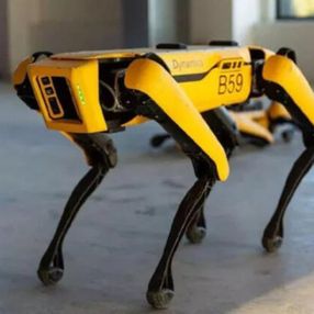 Boston Dynamics'in robot köpeği Spot Avrupa'da satışa çıktı
