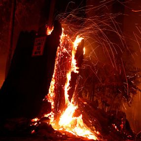 ABD'nin batı yakasındaki yangınlarda 34 kişi hayatını kaybetti