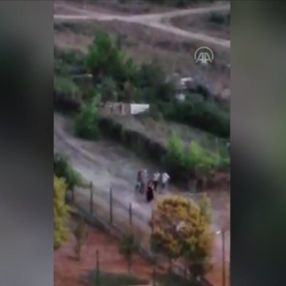 İstanbul'da sokak hayvanlarını beslemek isteyen kadın darbedildi