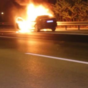 Adana'da bir otomobil yandı