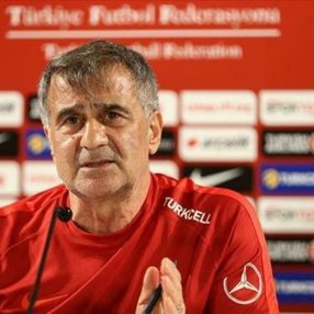 Şenol Güneş: Maksimum 5 yabancı olmalı