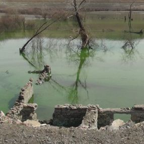 Kars'ta suyu azalan barajın altından köy enkazı çıktı