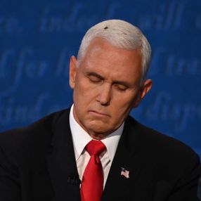Mike Pence'in başına konan sinek Twitter'da 95 bin takipçi kazandı