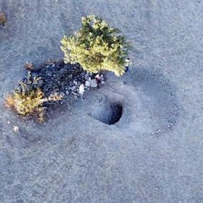 Yozgat'ta kaçak kazı yapanlara drone'la suçüstü