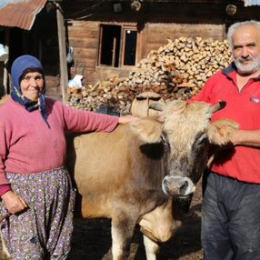 Artvin'de 'Devlet' sayesinde çiftlik sahibi oldular