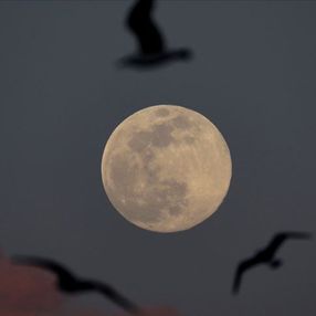 NASA, 26 Ekim'de Ay hakkında önemli bir keşif açıklayacak