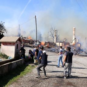 Bolu’da Kuzfındık köyü alevlere teslim oldu