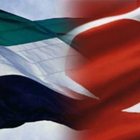 Financial Times'tan Türkiye - BAE ilişkisine dair analiz