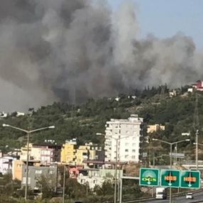 Hatay'da bir günde 4 farklı noktada orman yangını