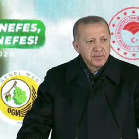 Cumhurbaşkanı Erdoğan: Gezi'de çevre için sokakları yakanlar, fidan seferberliğimizi kötüledi