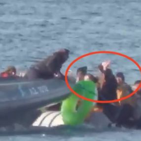 Yunanistan'ın ölüme terk ettiği mültecilere Mehmetçik el uzattı