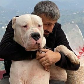YouTuber Recep Bayraktar'ın köpeklerine el konuldu