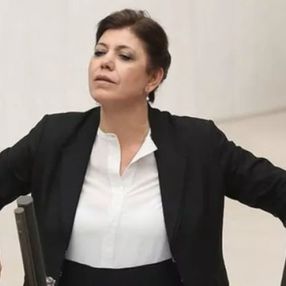 Meral Danış Beştaş: 20 bin mezundan sadece 1 tane Kürtçe öğretmeni atandı