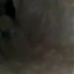 Malatya'da mağarada görüntülenen esrarengiz canlı
