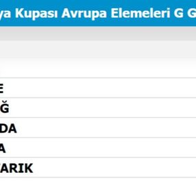 A Milli Takımımızın grubunda son durum